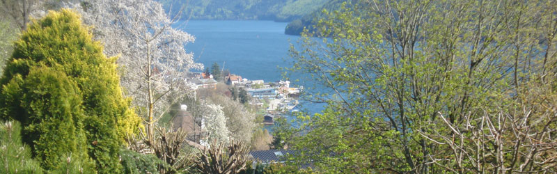 Blick vom Haus Elfriede auf den Millstätter See